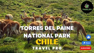 Torres Del Paine National Park Chile with travel pro [upl. by Assili]