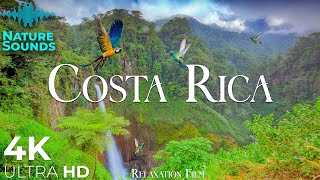 Costa Rica • Forest 4K Relaxation Film • Peaceful Relaxing Music • Nature 4k Video UltraHD [upl. by Gamin885]