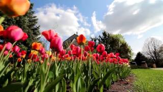 Beautiful Campus of Gustavus Adolphus College [upl. by Pfosi]