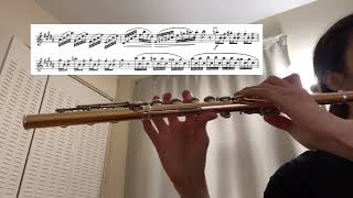 4924 practice log Berbiguier no 15 Flute etude [upl. by Anazraf]