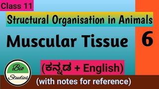 Structural organisation in animals class 11th NCERT line by line NEET [upl. by Leno108]