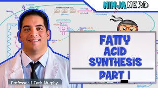 Metabolism  Fatty Acid Synthesis Part 1 [upl. by Mariandi]