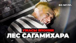 Ужасы Японии Инцидент в Сагамихаре [upl. by Reisman]