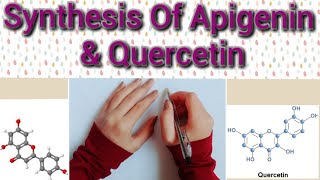 Detailed Mechanism For the Synthesis Of Apigenin and QuercetinDerivatives Of Flavones [upl. by Aklam]