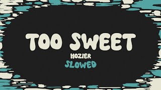 Hozier  Too Sweet slowed  reverb  lyrics [upl. by Anyah]