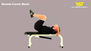 Reverse Crunch Bench Exercise [upl. by Arrahs]