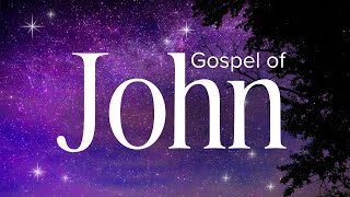 Gospel of John  Abide Audio Bible Holy Bible Audio [upl. by Siegel]