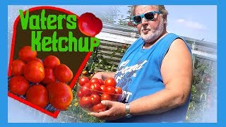 Vaters Tomatenketchup Ohne Chemie KurzRezept kurzanleitung [upl. by Aneri876]