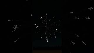 150mm Silver Glitter Delay Stars  Fireworks Simulator [upl. by Adriano639]