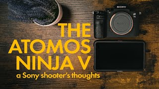 THE ATOMOS NINJA V  FOR THE SONY USER [upl. by Dyal321]