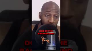 Talkers vs Doers The TRUTH About Dog Training [upl. by Zachary]