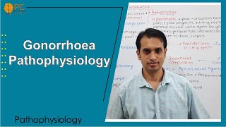 Gonorrhoea Pathophysiology [upl. by Oileduab]