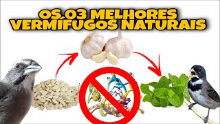 VERMÍFUGOS NATURAIS Os 03 Melhores Vermífugos para pássaros [upl. by Cruz]