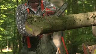 Lumberjack slow motion footage test CX350 Panasonic 100 fps [upl. by Morley]