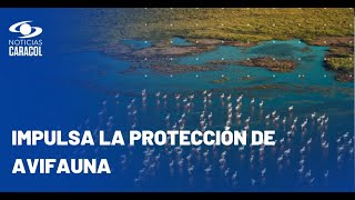 Hocol finalista del Premio Caracol TV a la Protección del Medio Ambiente 2024 [upl. by Bourgeois]