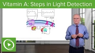 Vitamin A Steps in Light Detection – Biochemistry  Lecturio [upl. by Haroldson]