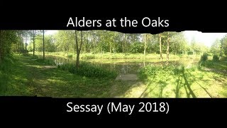 Alders at The Oaks Sessay May 25th 2018 [upl. by Arym]