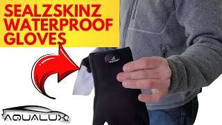 Seal Skinz Waterproof Gloves  Best Waterproof Gloves For Auto Detailing In 2021 [upl. by Nisior]