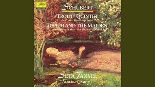 quotDeath and the Maidenquot String Quartet in D minor D 810 V Presto [upl. by Kauffmann]