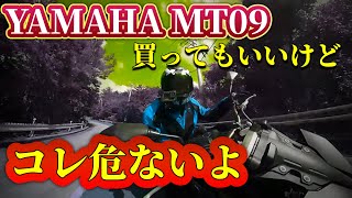 【要注意】悪いがMT09は乗り手を選ぶ！コレ見てから買ってくれ【YAMAHA】 [upl. by Pals417]