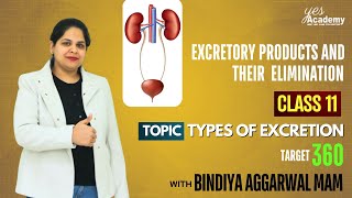 Excretory products and their elimination  Types of excretion  Part 1  NEET 25  NEET 26 [upl. by Lavine]