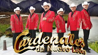 CARDENALES DE NUEVO LEÓN  PUROS CORRIDOS EXITOS MIX [upl. by Gaylene]