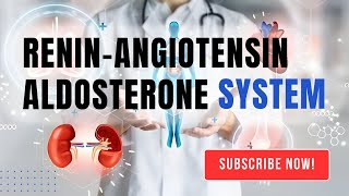 How does the ReninAngiotensinAldosterone System regulate blood pressure [upl. by Buddie]