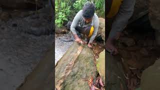 Really Hard To Crack It 🤯 crystals gems gold rockhounding satisfying [upl. by Efal]