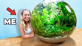 I Built a Giant Ecosphere Bowl [upl. by Jenness155]