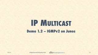 Demo 12  IGMPv2 on Junos Routers [upl. by Akimahs]