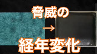 レンマ lemma マリスコ ペトローリオ レビュー 革財布 レンマ lemma マリスコ ペトローリオ プエブロレザー コンパクト財布 ココマイスター メンズ財布 レザーアイテム [upl. by Aikemehs]