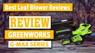 Greenworks DigiPro Brushless GMAX Series 40V 185 MPH Cordless Leaf Blower and Vacuum Review [upl. by Etheline]