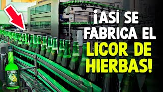 ¿Cómo Se Hace El Licor De Hierbas Proceso En Fábrica [upl. by Meletius]