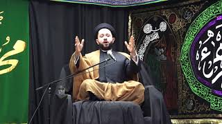 MYF  Sayed Jawad Qazwini Night 2  FATIMID DYNASTY HISTORY OF ISLAM [upl. by Tower986]