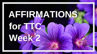 Fertility affirmations for Getting Pregnant Week 2 [upl. by Sidon]