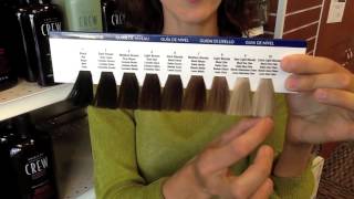 Understanding Your Hair Color Part 1 Hair color dye codes and levels [upl. by Nedaj]