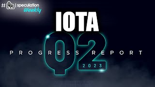 IOTA Q2 PROGRESS REPORT [upl. by Notgnirra]