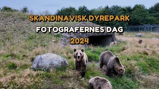 Fotografernes Dag I Skandinavisk Dyrepark [upl. by Espy]