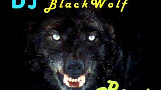 DJ BlackWolf Remixxx 2013 [upl. by Adnoral365]