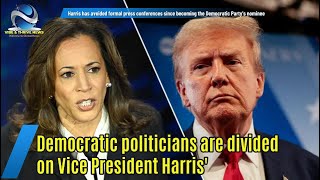 Democratic politicians are divided on Vice President Harris  vibethrivenews [upl. by Salsbury]