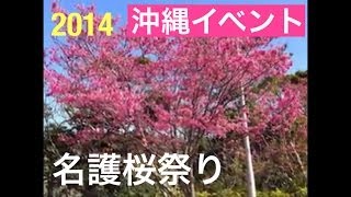 名護桜まつり ［沖縄イベント］ 2014年 １月 [upl. by Lynde]