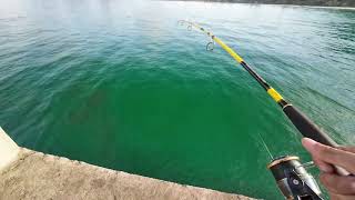 Bull shark fishing attempt at Long Beach pier [upl. by Tteirrah]