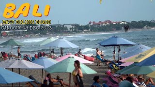 surf batu bolong beach bali  canggu  8 dec 2023 [upl. by Knorring]