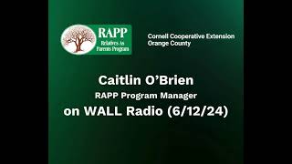 Caitlin O’Brien RAPP Program Manager on WALL Radio 61224 [upl. by Eicnarf]