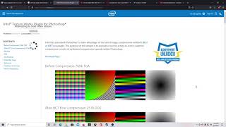 Install Intel DDS plugin  Photoshop 2021 CC [upl. by Joub]