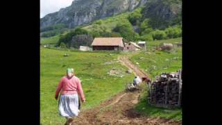 Mircea Baniciu  Vara la tara  Tristeti provinciale 1981 [upl. by Battat53]