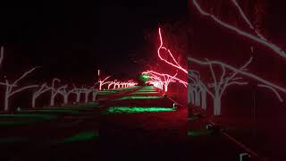 Kew Gardens  Christmas Light Show [upl. by Maharg420]