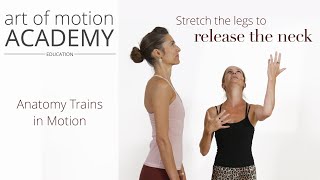 Stretch the Legs to Release the Neck  Anatomy Trains in Motion [upl. by Anahir]