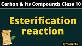 Esterification reaction class 10  what is esterification class 10  Carbon amp its compound class10 [upl. by Quiteri618]