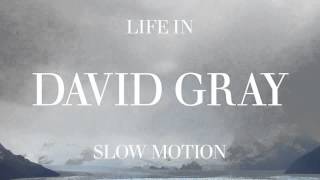 David Gray  Slow Motion Official Audio [upl. by Doowrehs]